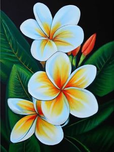 SKRYUIE 5D Diamond Painting Flower Plumeria Full Drill by Number Kits, DIY Rhinestone Pasted Paint Set for Arts Craft Decoration 30x40cm(12x16inch)