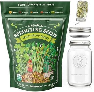 Seedboy Sp