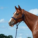 Cashel Flat Braid Halter and Leadrope, Navy