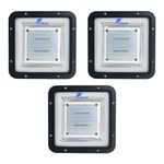 Forus 50W LED Flood Light 5 Years Warranty, IP67 Waterproof Outdoor LED Flood Lights, High Mast Focus Light, Halogen Flood Light for Factory, Garage, Parking,Garden,Shop,Warehouse,Tent, Cool White 3PC