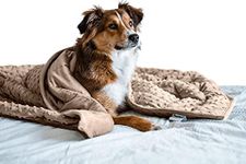 Nappy Puppy - Weighted Dog Blanket | Specially Designed for Anxious Dogs | Extra Comfortable | Premium Minky Fabric | Hypoallergenic Glass Beads | Brown | Small 2 lb