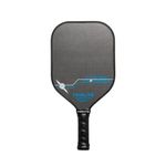 PROLITE LX Series Pickleball Paddles | Hyperweave Carbon Fiber Pickleball Paddle | 14mm Poly Core | Pickleball Rackets Made in The USA Since 1984 (Titan Pro LX, Silver Fibers)