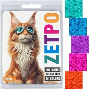 100 pcs So