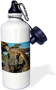 3dRose Water Bottle, 10.5" by 4.5", Marine Iguana, Galapagos Islands, Ecuador