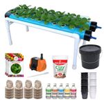 Casa De Amor 20-Plant NFT Hydroponics Kit-Complete Seed to Harvest Indoor/Outdoor System with Pump, Nutrients & Media for Home & Office Gardening, Sky Blue