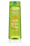 Garnier Fructis Sleek & Shine Shampoo, Frizzy, Dry, Unmanageable Hair, 12.5 fl. oz. 12.5 Fluid Ounce