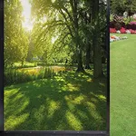 3D Forest Window Film - Privacy Static Cling UV Protection for Glass Doors & Home Office (24"x36" Natural Light) Reusable No Glue Window Decal