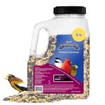 Armstrong Premium Year-Round Wild Bird Seed, Wild Bird Food, 2.27KG (5LB) Jug