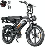 Tamobyke 2000W Fat Tire Electric Bi
