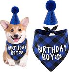 Dog Birthday Bandana, Pets Birthday