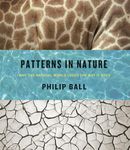 Patterns in Nature – Why the Natural World Looks the Way It Does