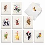 The Best Card Company - Variety Pack of 20 Blank Christmas Greeting Cards with Envelopes, Humor Holiday Assortment for Men and Women (10 Designs, 2 Each) - Wildlife Expressions AM2973XSB-B2x10