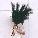 Artificial Pampas Grass 7 Stems Hei