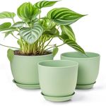 Gardrium Plant Flower Pots 10/9/8 inch Set of 3, Plastic Planters with Drainage Hole for Indoor Outdoor Garden, Green