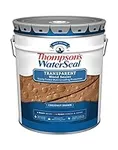 Thompson’s WaterSeal Transparent Wa