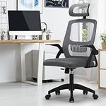 Oikiture Ergonomic Office Chair Bac