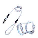 PetVogue Cat Harness with Leash Set Adjustable Harness Leash Set Soft Cat Walking Harness for Kitten and Small Animal - Blue