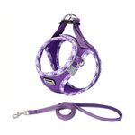 DORAMIO Step-in Dog Harness and Leash Set, No-Chock Soft Mesh Reflective Breathable Easy Walk Lightweight Vest Harnesses with Safety Buckle for Small Medium Dogs, Cats, Puppies (M, Purple)