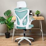 DROGO Premium Ergonomic Office Chair for Work from Home, High Back Computer Chair with Mesh, Flip-up Armrest, Recline, Adjustable Seat & Lumbar Support | Mesh Chair for Office (Marshal Pro Blue)