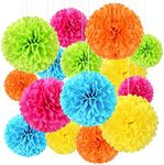 Tissue Pom Pom Paper Flower Ball Party Decorations - 15 Pcs 10, 12, 14 Inch -for Wedding, Birthday, Bridal Shower, Bachelorette, Baby Gift Shower