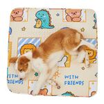 PJYuCien Machine Washable Square Dog Playpen Mat, 36”x 36”, Non-Slip Pet Pen Pee Pad, Suitable for Indoor/Outdoor Puppy Training, Animal World (Note: Mat only, playpen not Included !!!)