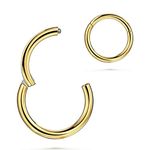 Gold Nose Hoop Ring 316L Surgical Steel Hinged Clicker Segment, 16G, Diameter 5mm