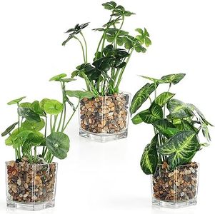 BELLE VOUS Piante Finte in Plastica con Vasi in Vetro Trasparente (3pz) - Piante Finte da Interno/Esterno per Casa, Giardino, Parete, Cespugli, Centrotavola per Matrimoni e Piante Decorative Ufficio