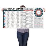 Mandolin Chord Chart Laminated of Popular Mandolin Chords | Mandolin Fretboard Notes and Circle of Fifths, 11'' x 15'' Mandolin Chord Poster and A Foldable Portable Stand, Easy to Read and Waterproof