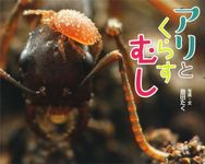 Insects That Live with Ants