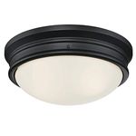 Westinghouse 6578100 Meadowbrook 13 inch Traditional Two-Light Flush Mount Outdoor Ceiling Light Fixture Matte Black Finish, Frosted Glass