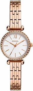 Fossil Til