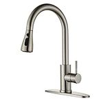 LOUEVIDO Kitchen Faucet with Pull D