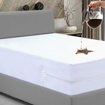 Caroline Shatuik Bed Bug Mattress P