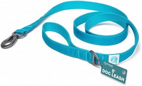Embark Adventure Dog Leashes - Colorful, Strong and Sturdy Nylon Dog Leashes for Small Dogs, Dog Leashes Medium Dogs and Dog Leashes Large Breed Dogs, Heavy Duty Dog Leash (Black Dog Leash)