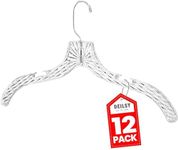 DEILSY Clothes Hangers Plastic Set of 12Pcs Heavy Duty Hangers Dresses, T-Shirts Shirt Hangers for Closet Organization Clear Hangers for Home, Retail Easy to Use and Durable