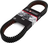 Powersports Drive Belts