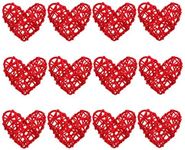 JANOU 12pcs Heart Shaped Natural Wi