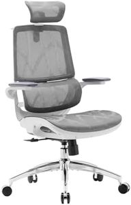 SIHOO M59AS Ergonomic Office Chair, Desk Chair with 3D Flip-up Armrests, Computer Chair with Dual Back Design and Adaptive Dynamic Lumbar Support