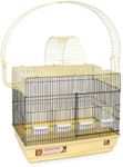 Prevue Hendryx SP1934-1 Cockatiel D