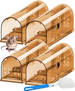 Motel Mous
