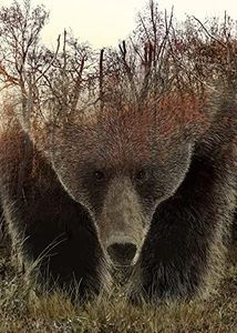 Animal Bea