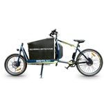 REVOLGO LITE E-Cargo Bicycle with Box, 48V DC, 250W Motor, 50KM Range, Heavy Duty Frame, 100KG Payload, 25KM/HR Speed