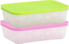 Tupperware Freezermate Plastic Fridge Container 1 Litre Pack of 2 (Multicolor)