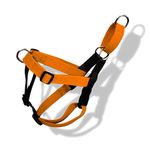 That Dog In Tuxedo No Pull Dog Harness with Dual Attachment and Adjustable Dual Leash - Orange/Black (Size L)