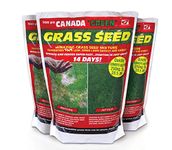 Canada Green Grass Seed, 500 Grams