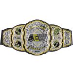 Aew All Elite Wrestling World Championship Belt - Authentic Design Role-Play, Wear And Display Title Belt - Multicolor