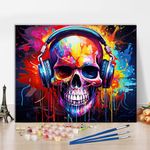 TISHIRON Paint by Numbers for Adults Beginner Colorful Skull with Headphones Oil Painting Paint by Number Kits Paintwork with Paintbrushes 16"x20"