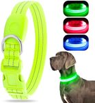 Chalklit Light Up LED Dog Collar, USB Rechargeable Waterproof Reflective Adjustable Flashing Dog Collar Lighted, Glowing in The Dark for Small Medium Large Dogs Night Safety Walking (Small, Green)