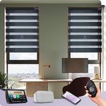 Graywind Customized Smart Zebra Bli