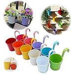 GIOVARA Metal Flower Pot Vase Bucket Hanging Garden Planter without Drainage Hole, Balcony Home Decor, Detachable Hook (10 Pcs with Assorted 10 Colours)